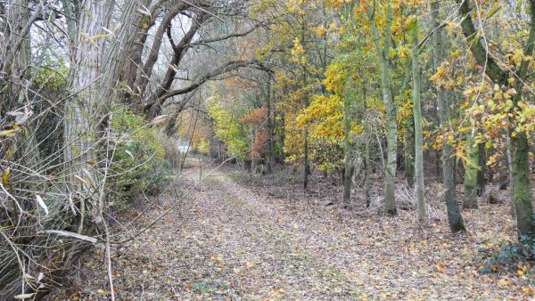 Autumn in Bassingham